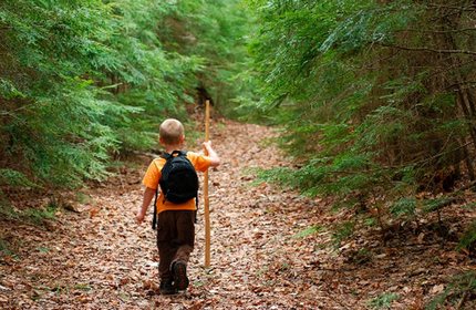 Памятка «Для детей и взрослых: общие правила безопасности при посещении леса»
